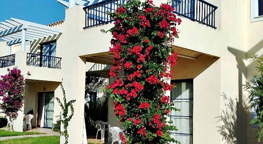 Apartamentos Primasud Punta Prima (Menorca) Exterior foto